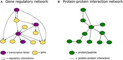 Hub Protein Controversy: Taking a Closer Look at Plant Stress Response Hubs